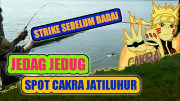 Mancing ikan nila Jatiluhur strike jedag jedug  || The balad mancing spot cakra