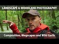 Composition, Megscapes and Wild Garlic - Landscape & Woodland Photography
