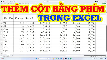 Cách thêm cột trong Excel bằng phím tắt