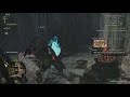 Monster Hunter Wilds The final endemic life caught!