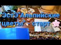 24. ЭстЭ "Альпийские цветы" - разметка, натяжка и начало работы.