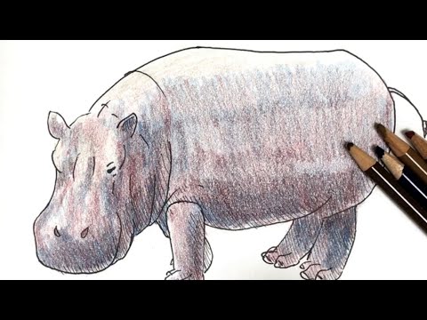 カバ ペン画と色鉛筆の絵の描き方簡単講座 Youtube