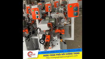 Máy mài lưỡi cưa thép gió WL-450