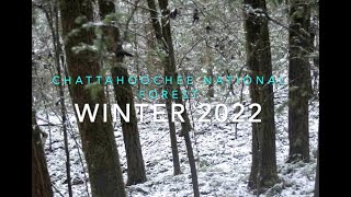 2022 Winter Trail Cam Videos - Chattahoochee National Forest by The Seasoned Sportsman 457 views 2 years ago 5 minutes, 17 seconds