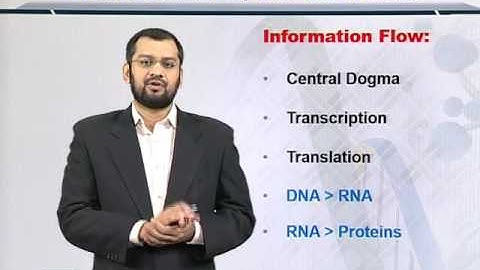 Topic 113 (BIF401 - Bioinformatics I)