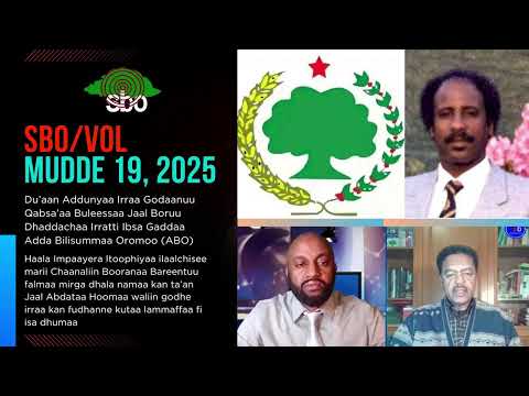SBO MUDDE 19 2025