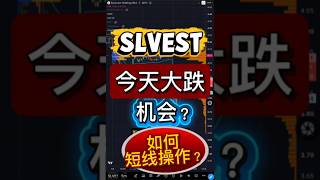 SLVEST SOLARVEST今早股价大跌, 是机会吗?要如何去操作？中英字幕 #投資 #马来西亚 #马股