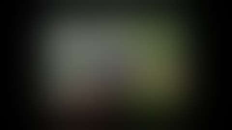 Healers and Dealers - The Western Shore