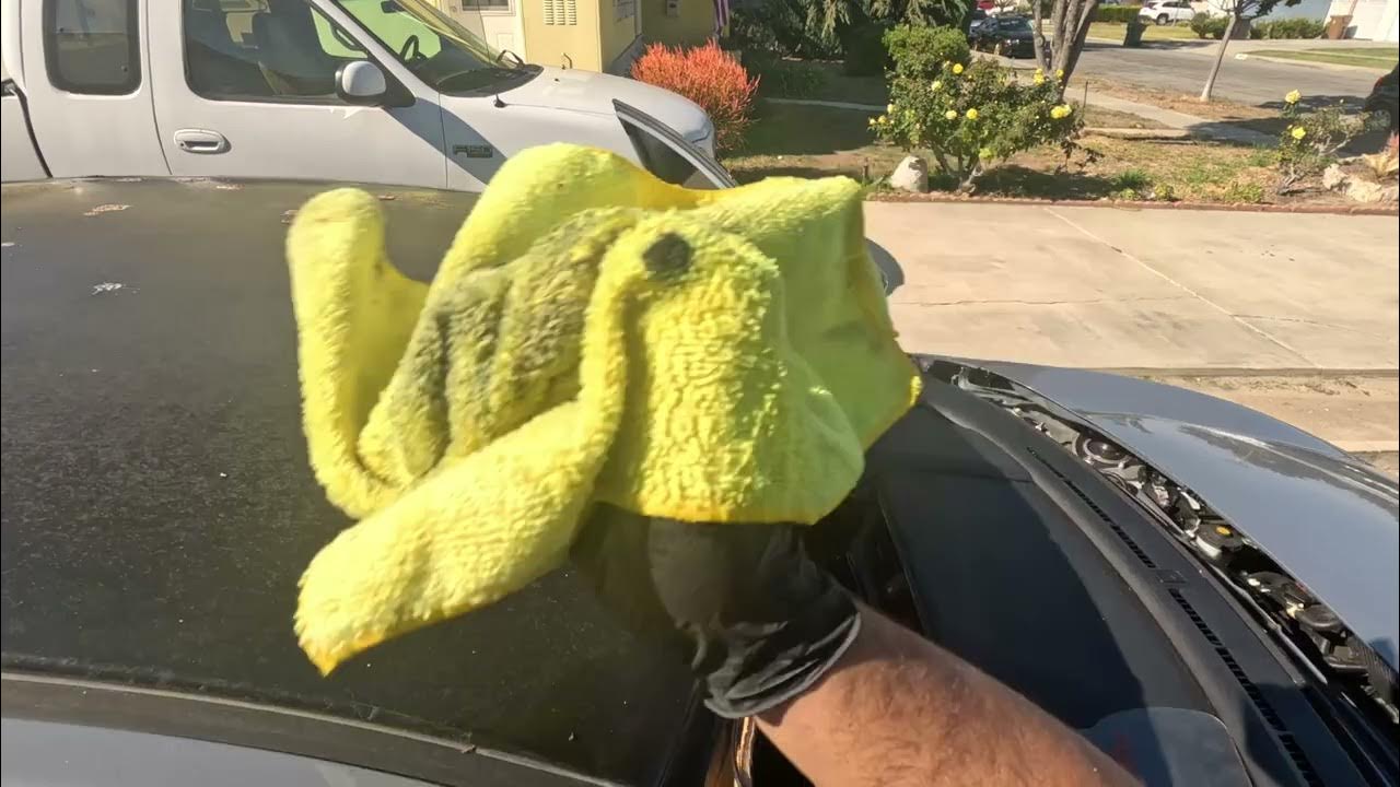2021 Honda Civic Windshield Replacement ~ Supreme Auto Glass - YouTube