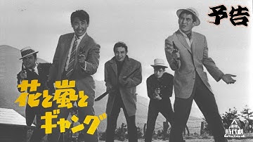 【予告編】花と嵐とギャング #没後10年高倉健特集
