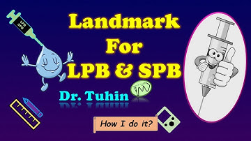 Landmark for Lumbar Plexus | Sacral Plexus | PNS guided LPB | PNS guided SPB | @DrTuhinM