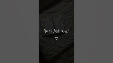 القرآن الكريم 🫀🎧 #اكسبلور #القران_الكريم #دويتو #قران #لايك #المصحف #راحة_نفسية