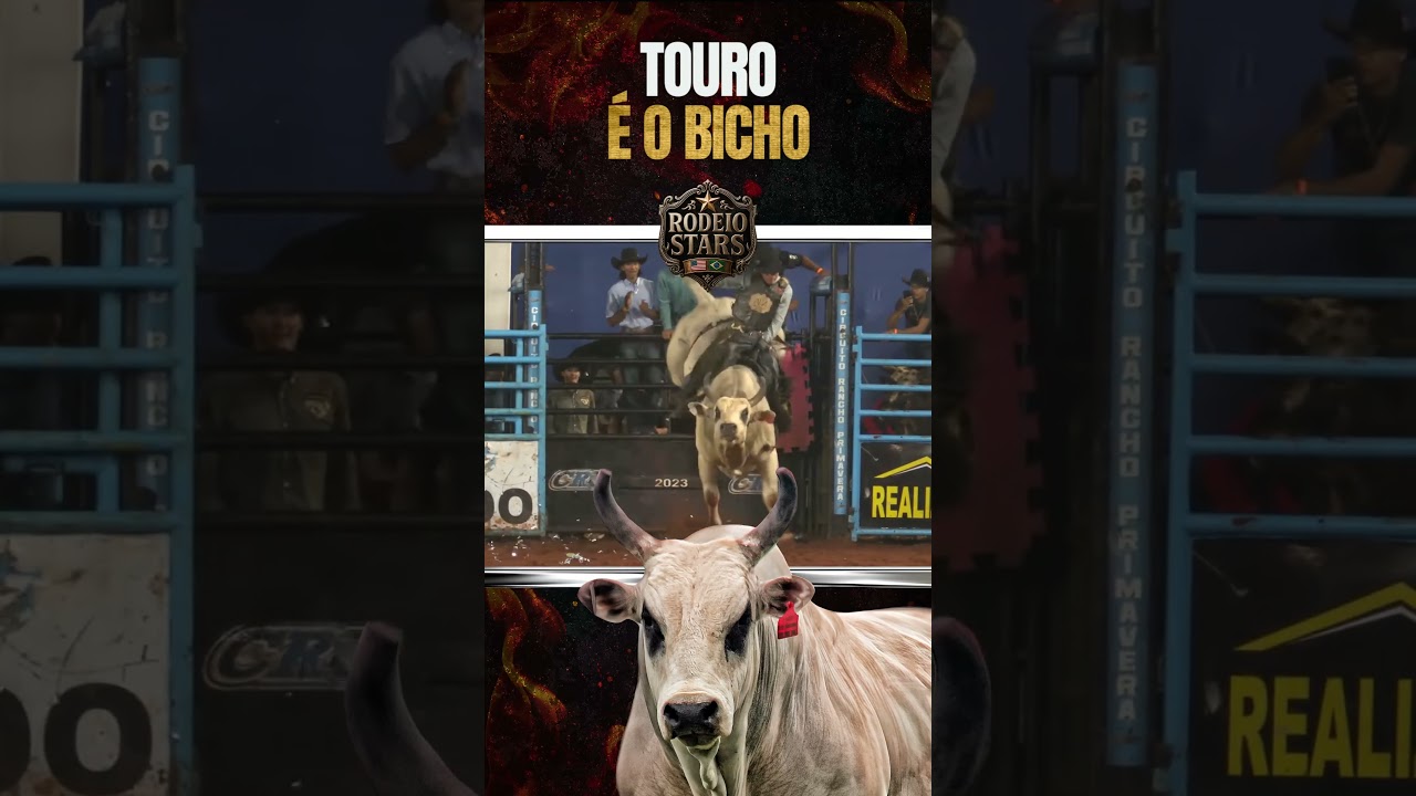 TOURO É O BICHO 🔥  
