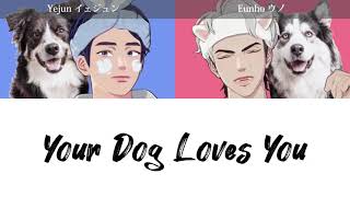 【日本語訳】君は僕の唯一の味方なんだ | Your Dog Loves You - Colde (イェジュン＆ウノ cover)【PLAVE】