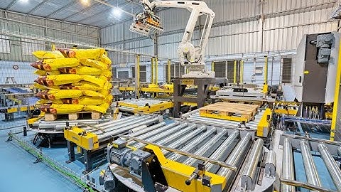 Robotic Bag Palletizing