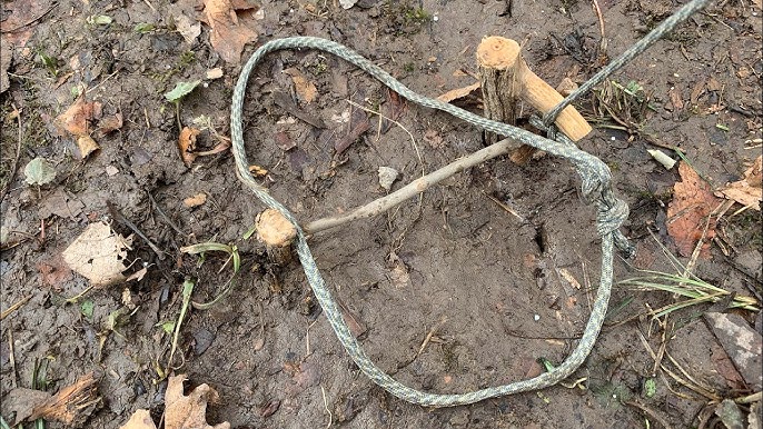 Modifying and Setting Snares For Predator Trapping: Loaded - The