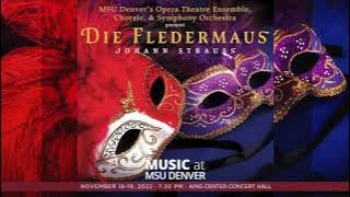 Die Fledermaus