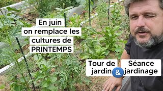 En JUIN, on sème et on plante pour remplacer les cultures terminées【Grande séance jardinage】