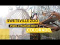 Swetsville Zoo или Планета Шелезяка. Очень странное место, но стоит того, чтобы его посетить