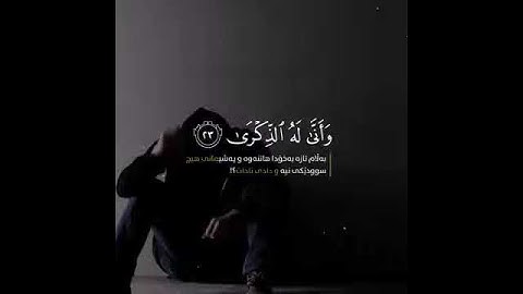 تلاوه قرانيه شجيه وهادئه/ للقارئ رعد الكردي/ اجمل حالات وتساب دينيه قصيره/ ارح مسمعك/