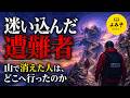 【朗読】迷い込んだ遭難者【女性朗読/パラレルワールド/奇々怪々】