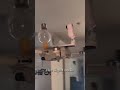 The Most Genius Lightbulb Installation