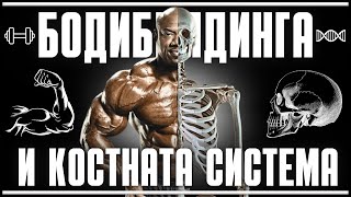 видео: ЕП.№19 - ФИТНЕСА И КОСТНАТА СТРУКТУРА! - СКЕЛЕТЪТ ОПРЕДЕЛЯ ФИНАЛНИЯ ВИД НА ТЯЛОТО ТИ В БОДИБИЛДИНГА! картинка: ЕП.№19 - ФИТНЕСА И КОСТНАТА СТРУКТУРА! - СКЕЛЕТЪТ ОПРЕДЕЛЯ ФИНАЛНИЯ ВИД НА ТЯЛОТО ТИ В БОДИБИЛДИНГА!