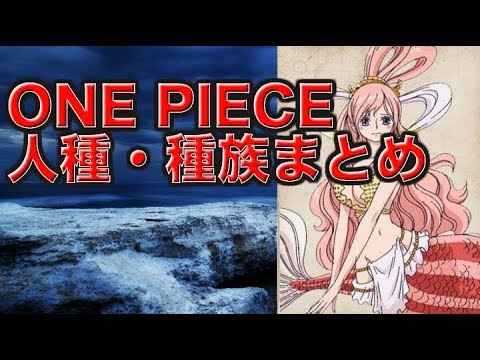 ワンピース 多種多様 One Piece人種 種族まとめ Youtube