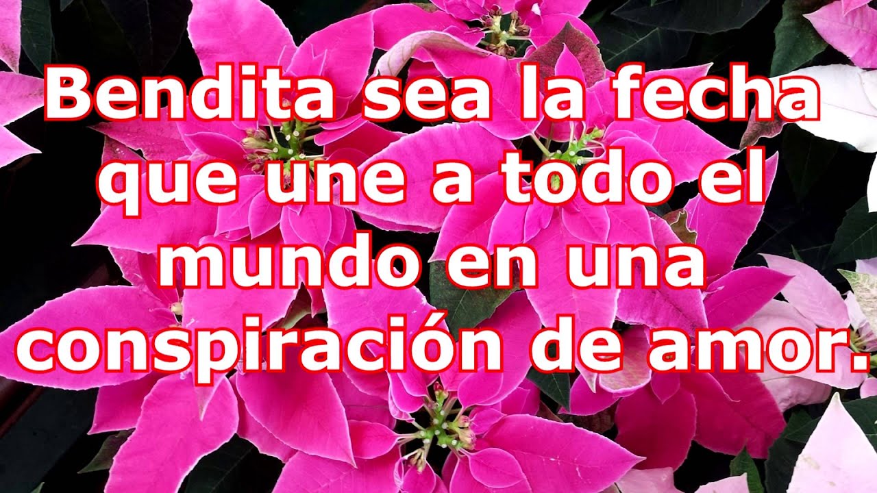 frases de navidad cortas 2017 parte 3 de 4 maxresdefault