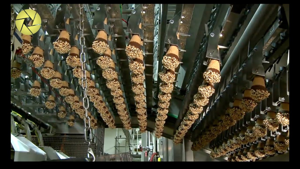 Inside The Food Factory Incredible Process Worth Watching Hungry