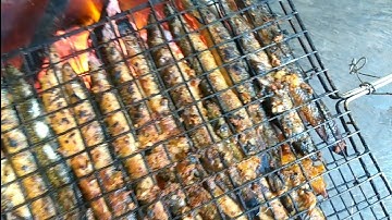 Cá chạch nướng siêu ngon của phượng ớt mời cả nhà  - Toàn hói vlog