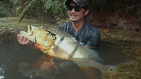 BIG Fish vs Tiny Lure! BONE Dash 50S Multi Function Sinking Lure!