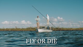 Flats Class S16:E8 "Fly Or Die"