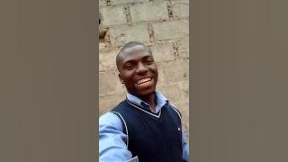 Gênese e Totó- vêm o que vier