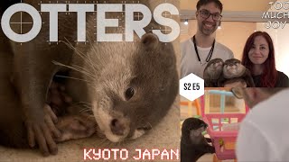 The best otter cafe ever!!! • LOUTRE Kyoto • Japan trip 2 Pt.5