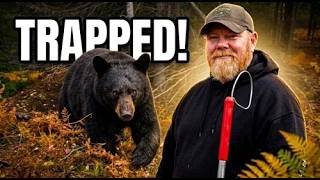 What happens when you release a furious bear from a trap?