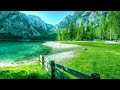 Calm Your Mind With Beautiful Relaxing Music & Beautiful Nature for Insomnia Relief and Meditation