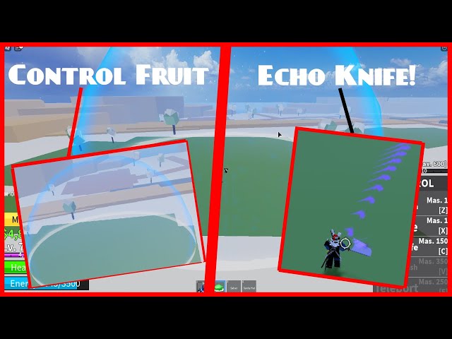 Echo Knife  I Unlocked The Echo Knife Skill in Control Fruit