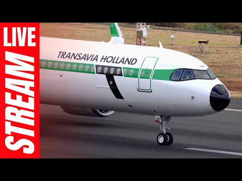 馃敶 Madeira Airport LIVE Plane Spotting