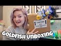 Unboxing TWO New Fancy Goldfish + Fish Updates 🐟✨