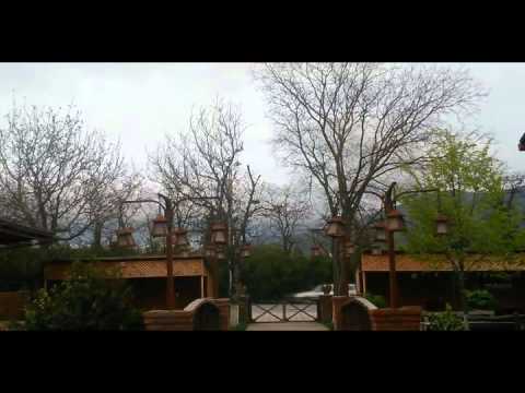 ქარი ქრის, ქარის ქრის...