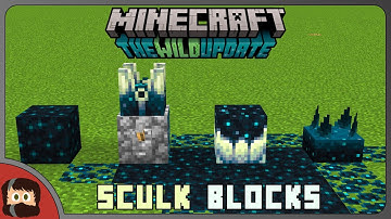 FIRST LOOK Sculk Blocks from 1.19 Minecraft Bedrock Beta 1.18.0.22
