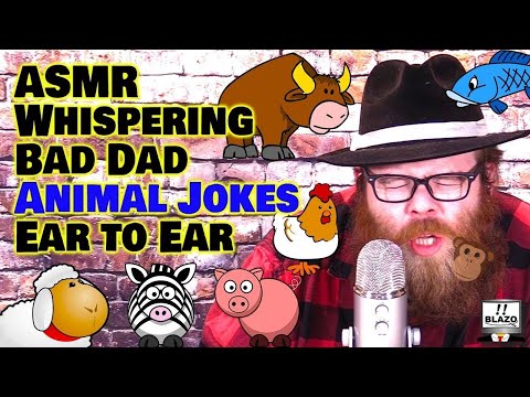 funny-asmr-bad-dad-jokes---animal-jokes-whispered-ear-to-ear-for-relaxation