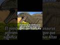 Acrocanthosaurus #prehistoria #prehistoric #paleontología #paleontology #dinosaurs