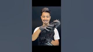 This cock, black chicken world, famous 😱#black #cock #animals #chicken