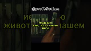 КОД:0014 Страшный любитель акул... #film #films #моменты