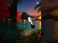 Fiji Island Night — Calm Background Music | Tropical Ambient Journey #hummingbirdjourney