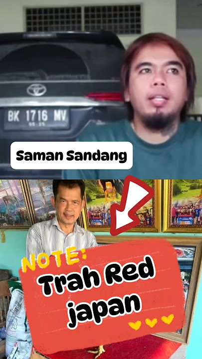 Red japan saman sandang #ayamaduanindonesia #redjapan #pakhoy #ayamthailand #antony #fyp #bangkok