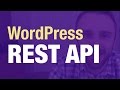 WordPress REST API Tutorial (Real Examples)