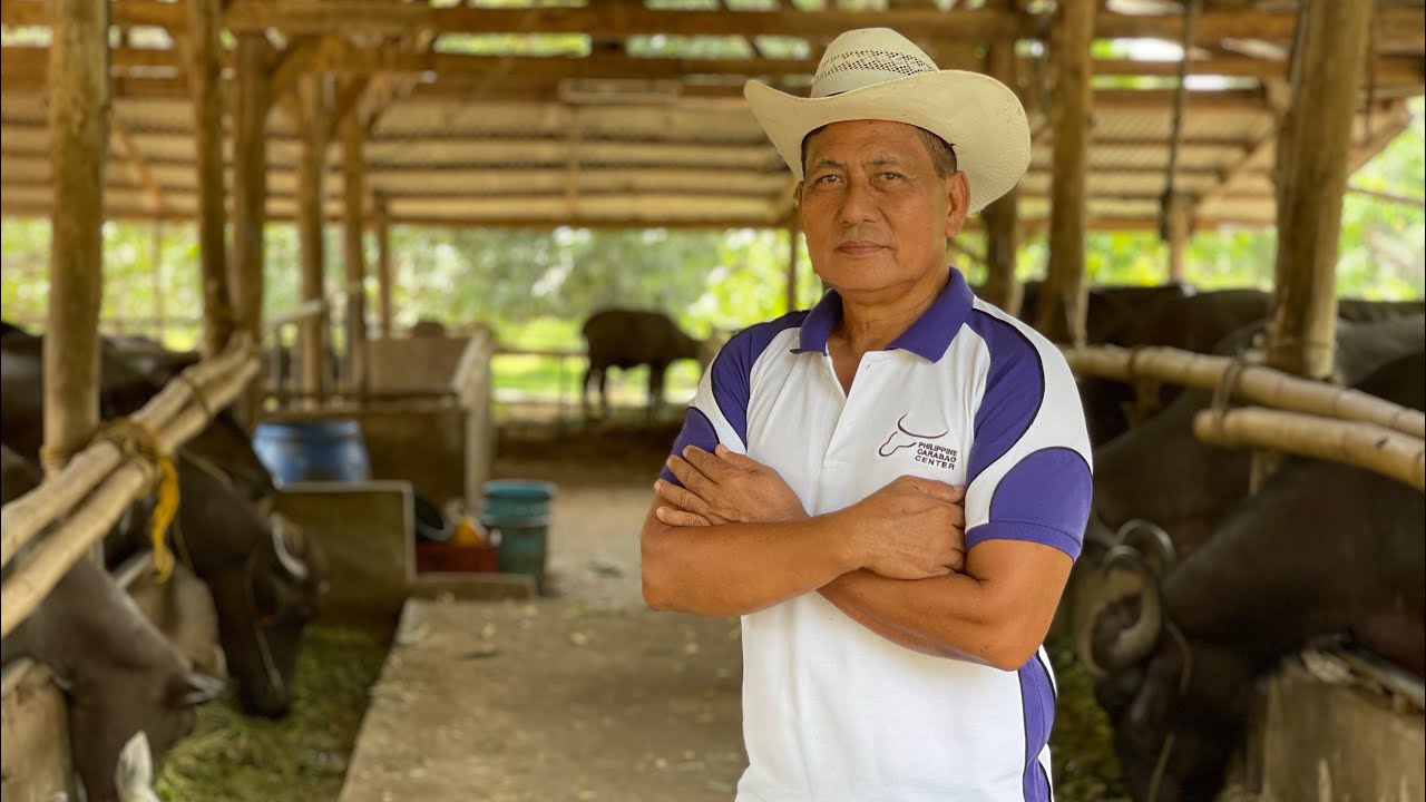 ⁣Mas Maganda ang CARABAO DAIRY FARM sa Vegetable Farming?